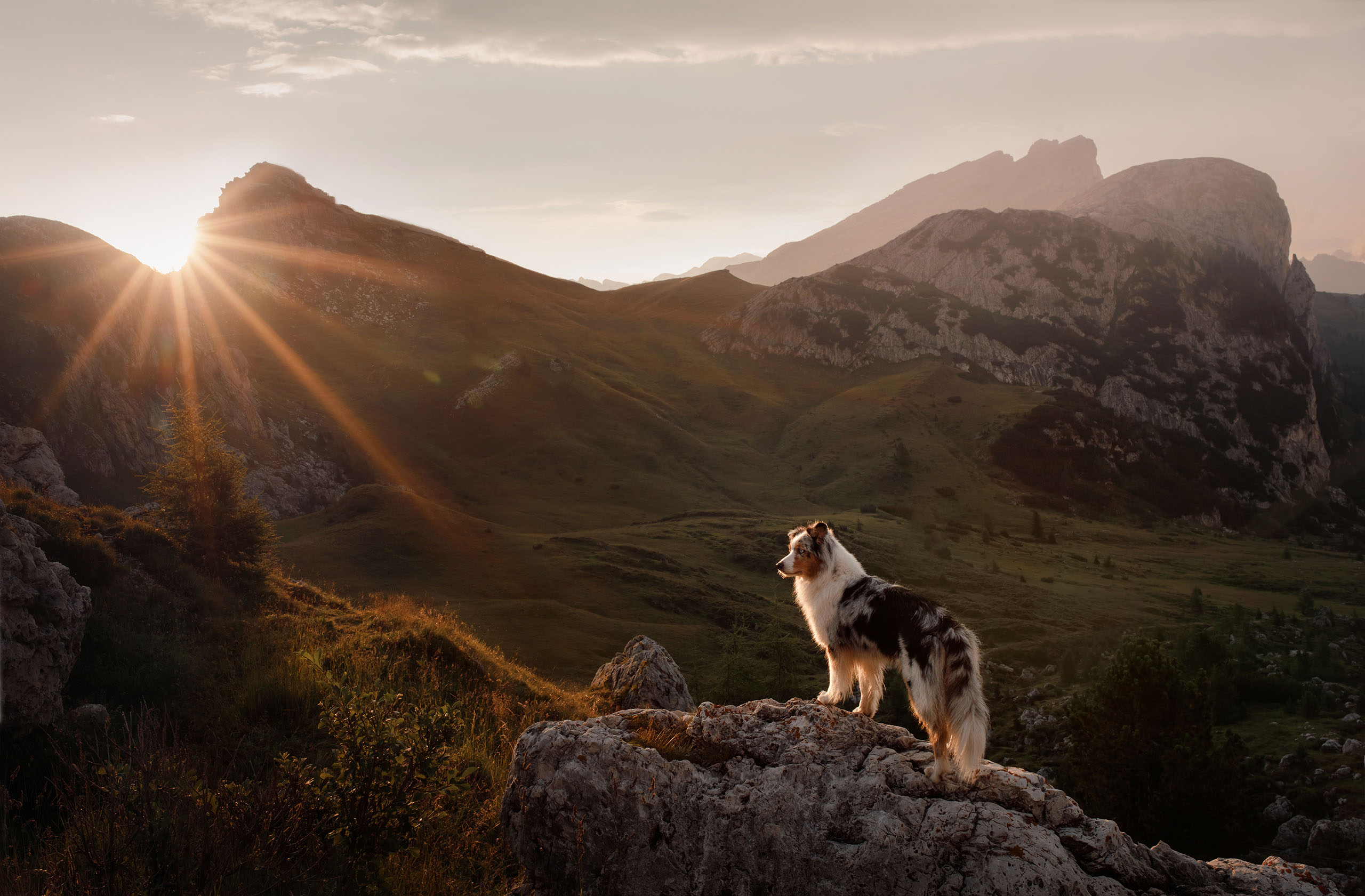 Hotel Post Lech, dog-friendly hotel in Arlberg and Vorarlberg