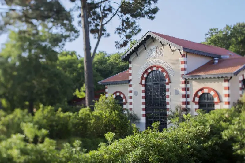 Hôtel Ville d'Hiver, dog-friendly hotel in Arcachon and Cap Ferret