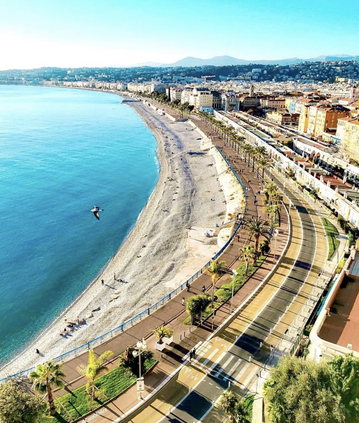 Hôtel West End Nice, dog-friendly hotel in Nice