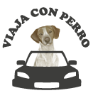Hotel Zenit Valencia, dog-friendly hotel in Valencia