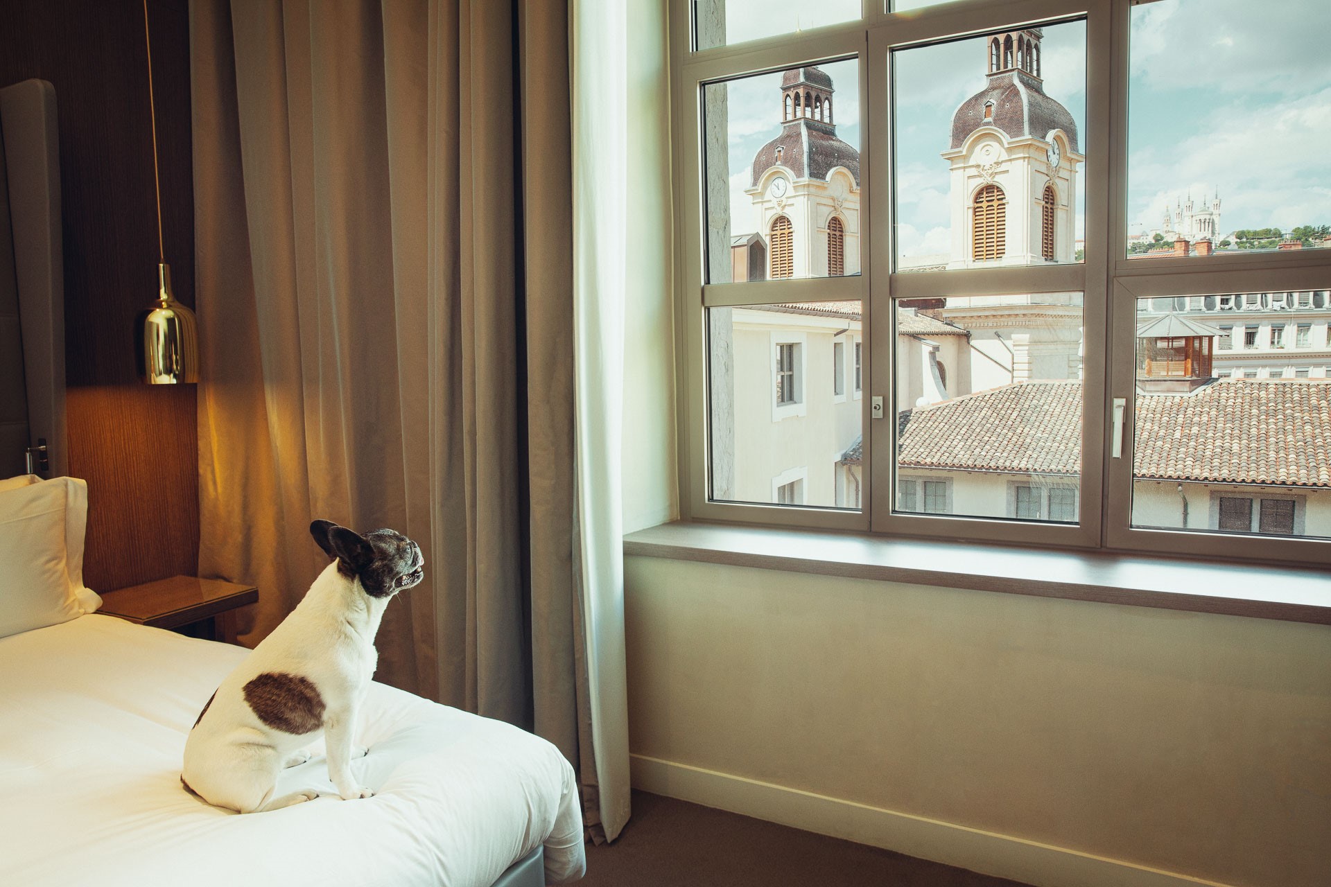 InterContinental Lyon - Hotel Dieu, dog-friendly hotel in Lyon