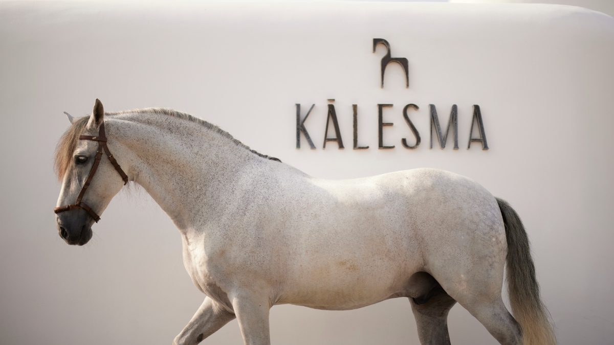 Kalesma Mykonos, dog-friendly hotel in Mykonos