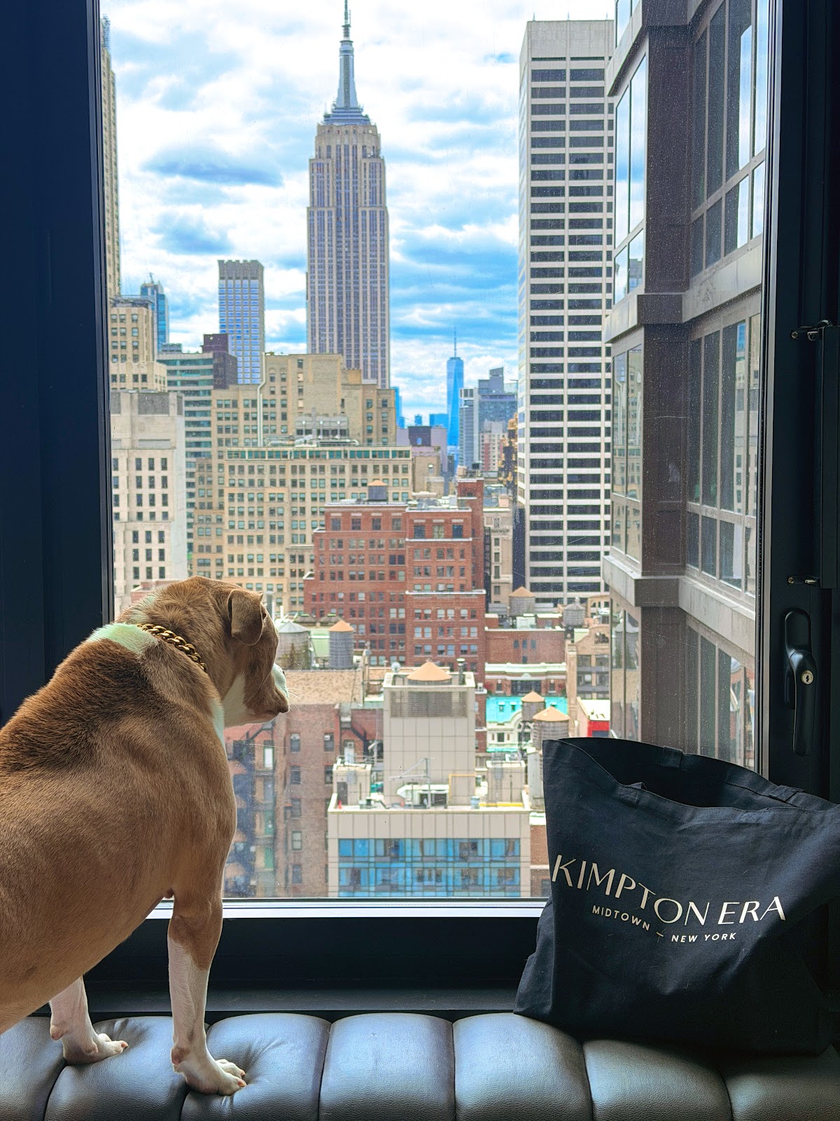 Kimpton Era Midtown New York, dog-friendly hotel in New York