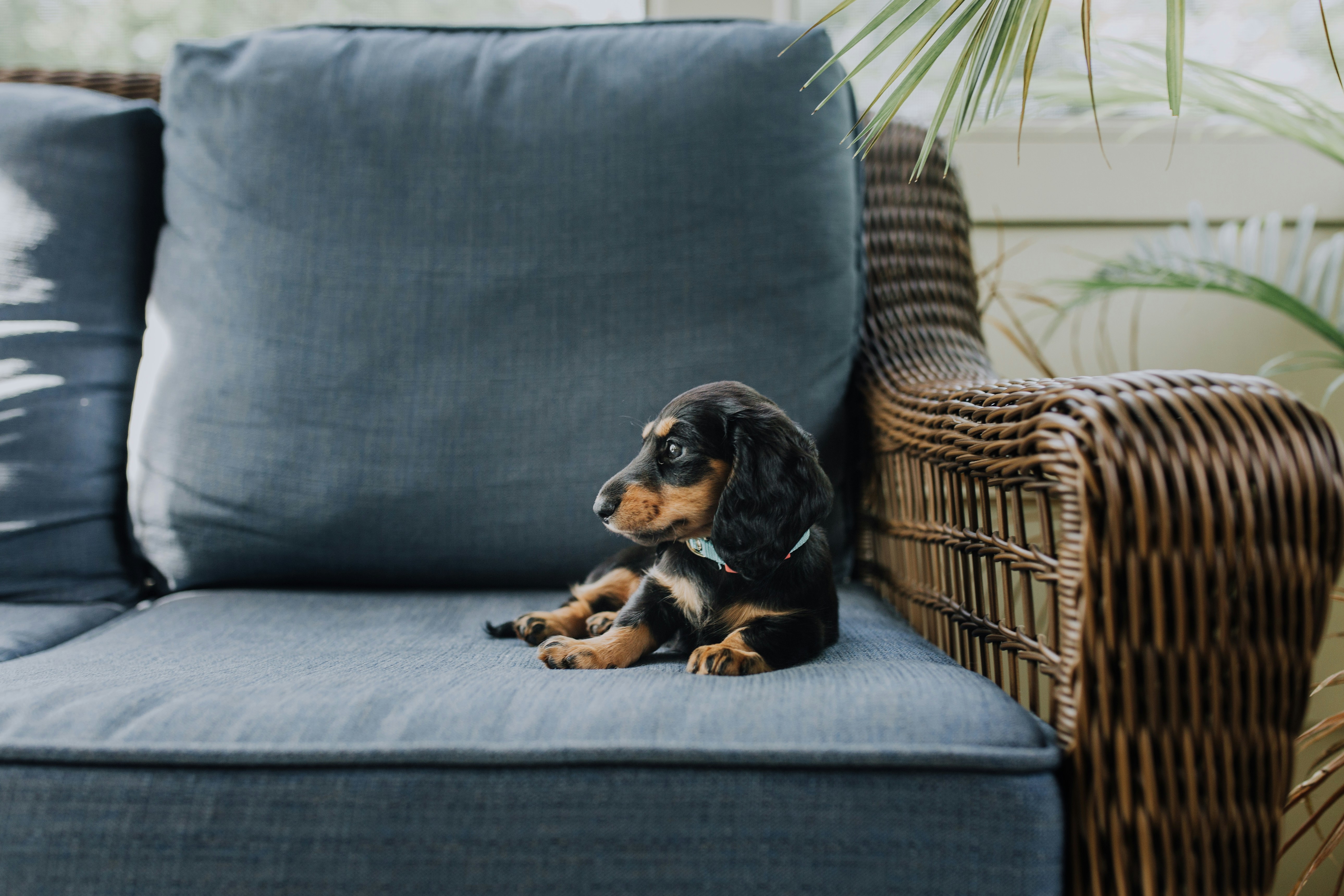 Krumers Alpin - Your Mountain Oasis, dog-friendly hotel in Seefeld