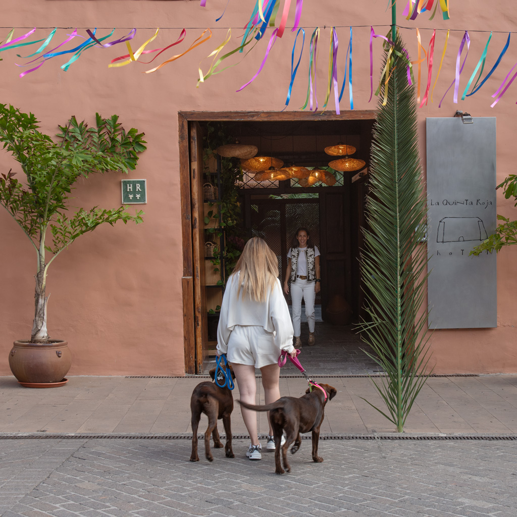 La Quinta Roja, dog-friendly hotel in Tenerife