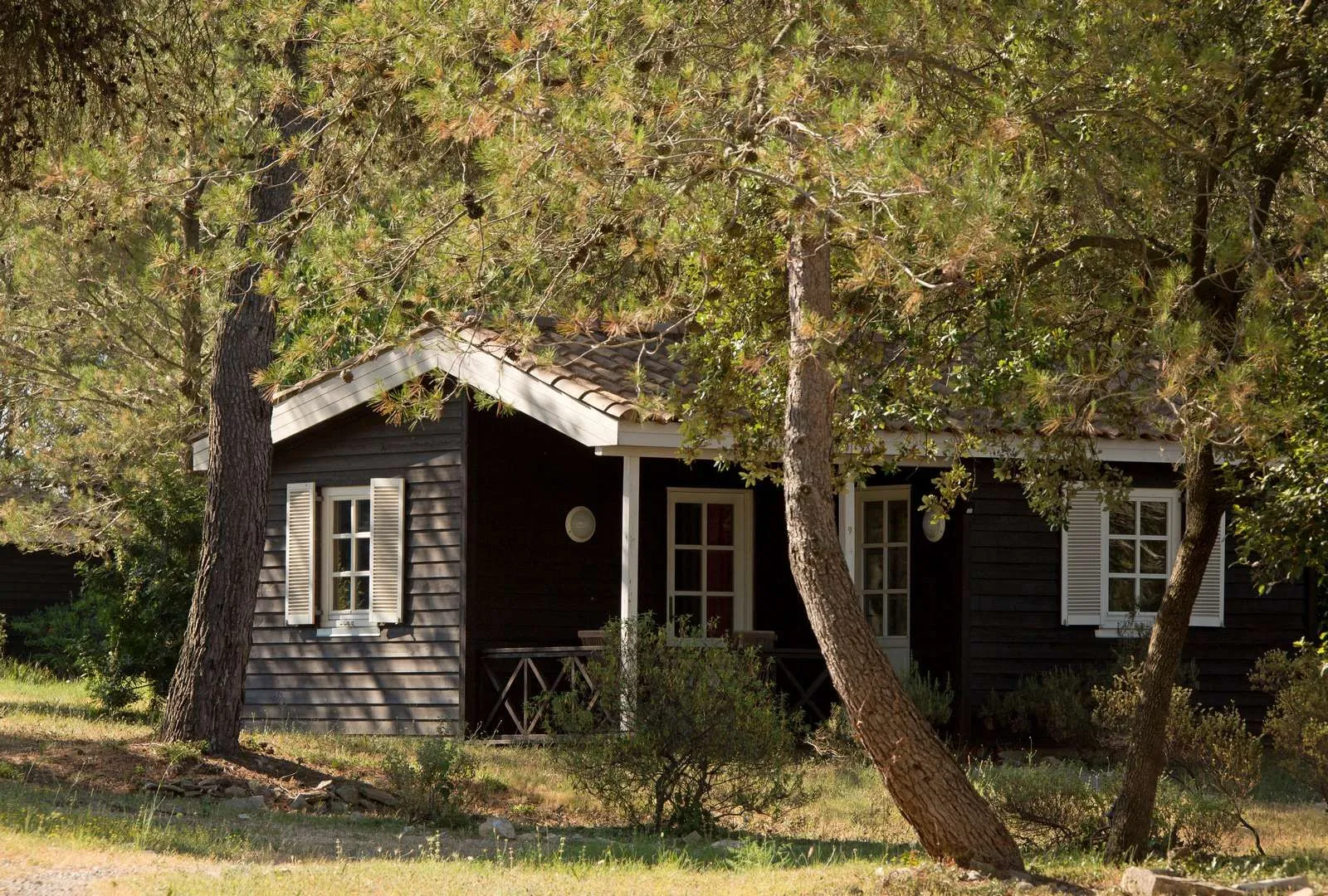 La Villa Vicha, dog-friendly hotel in Camargue and Languedoc