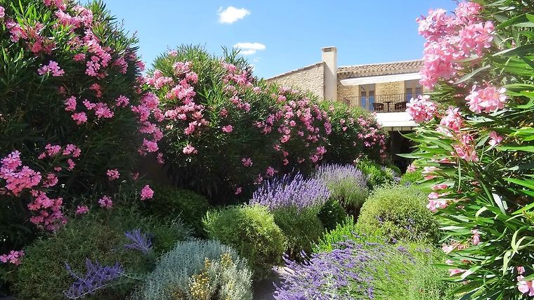 Le Jas de Gordes, dog-friendly hotel in Luberon and the Alpilles
