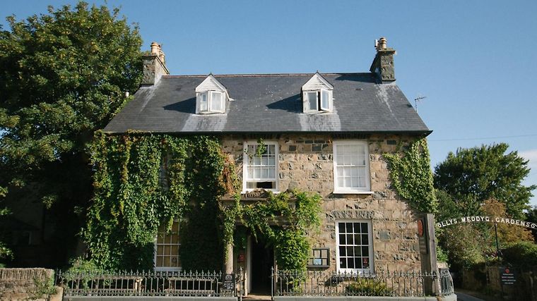 Llys Meddyg, dog-friendly hotel in Wales