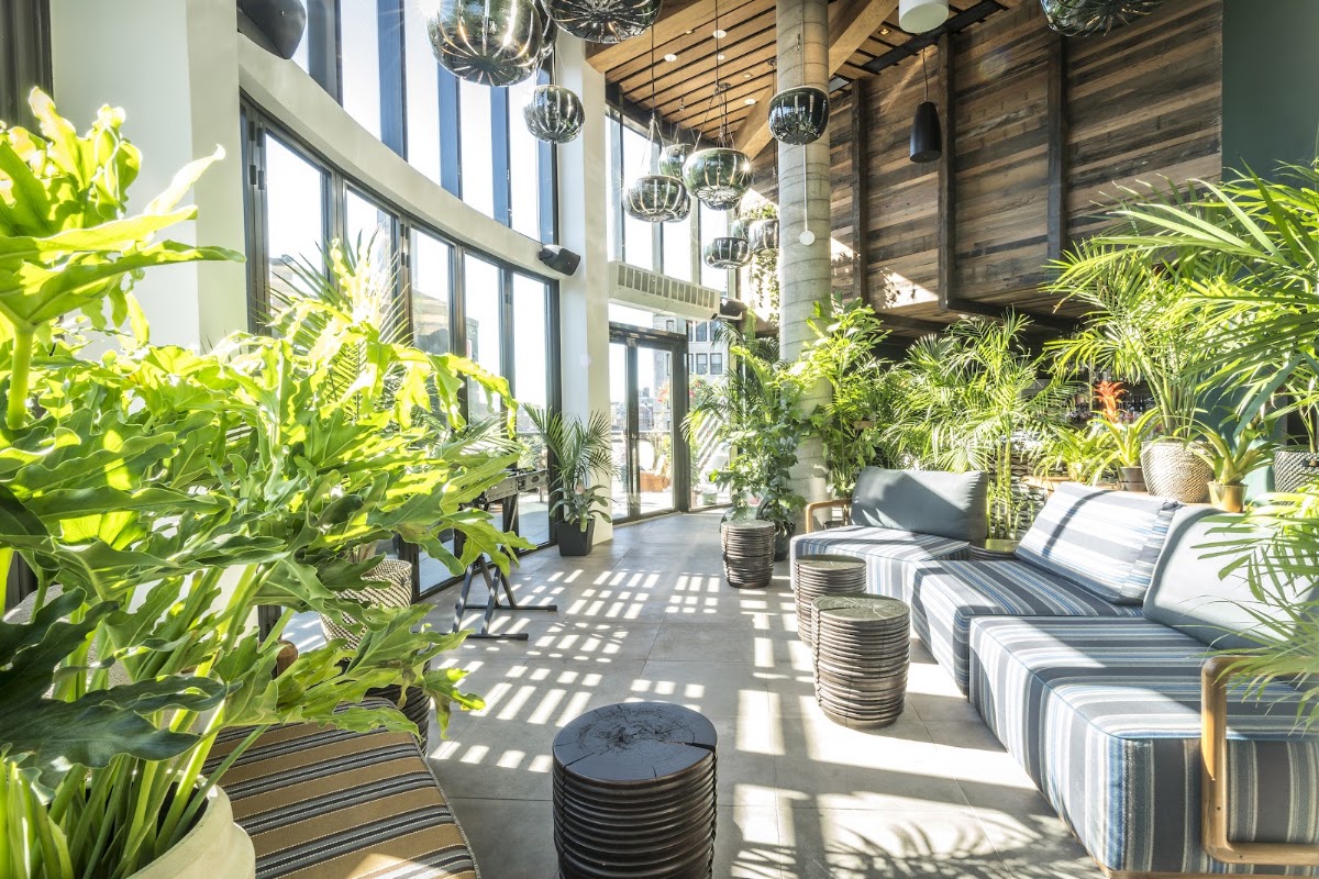 Made Hotel, dog-friendly hotel in New York