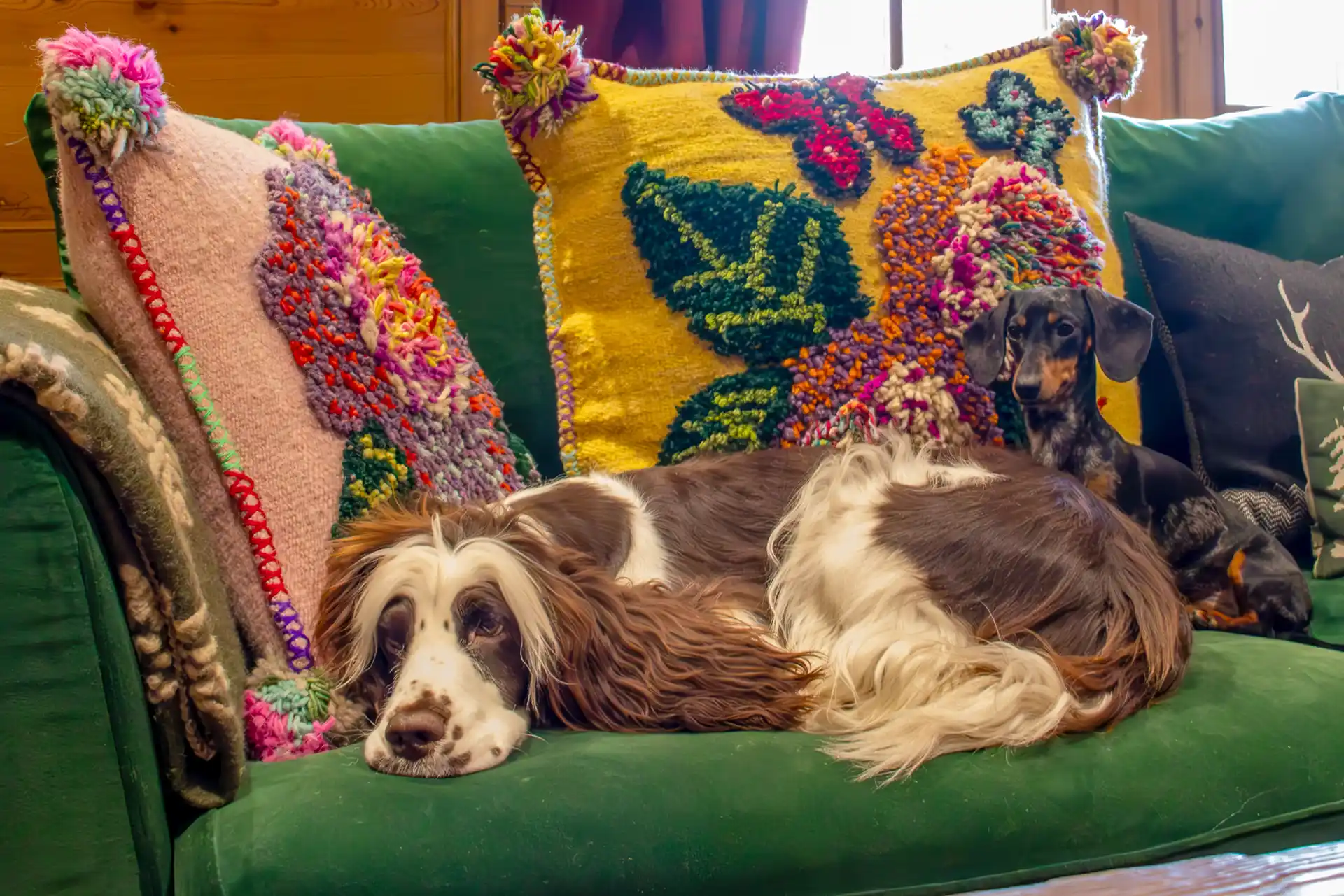 Magic Megève Bois, dog-friendly hotel in Megeve