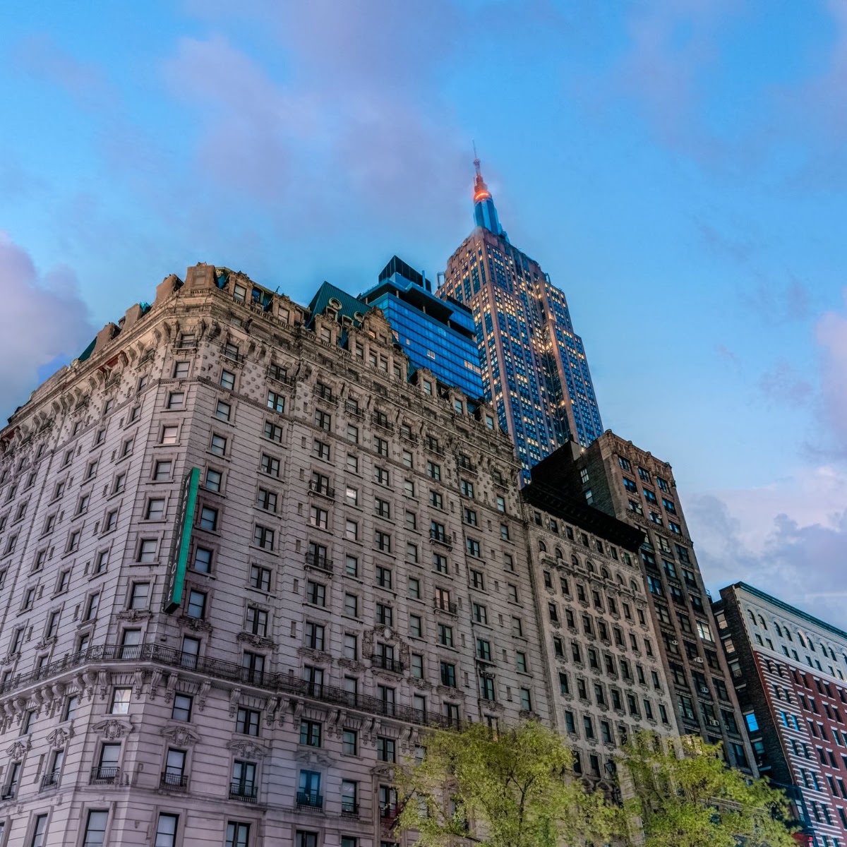 Martinique New York on Broadway, dog-friendly hotel in New York