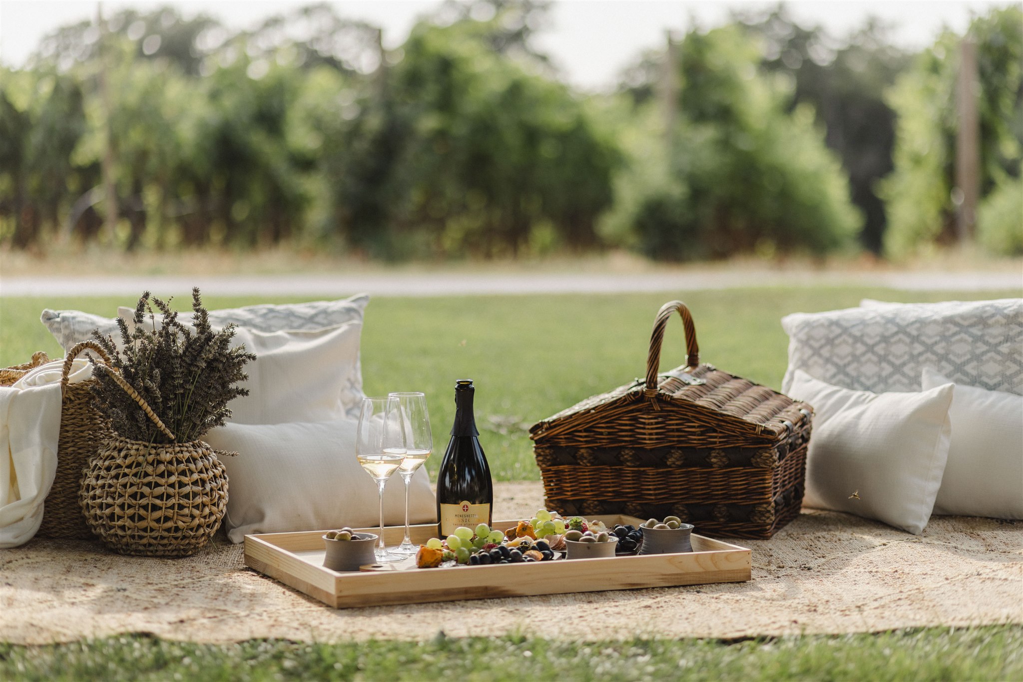 Meneghetti Wine Hotel & Winery, dog-friendly hotel in Istria
