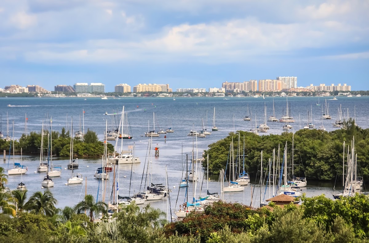 Mr. C Miami Coconut Grove, dog-friendly hotel in Miami