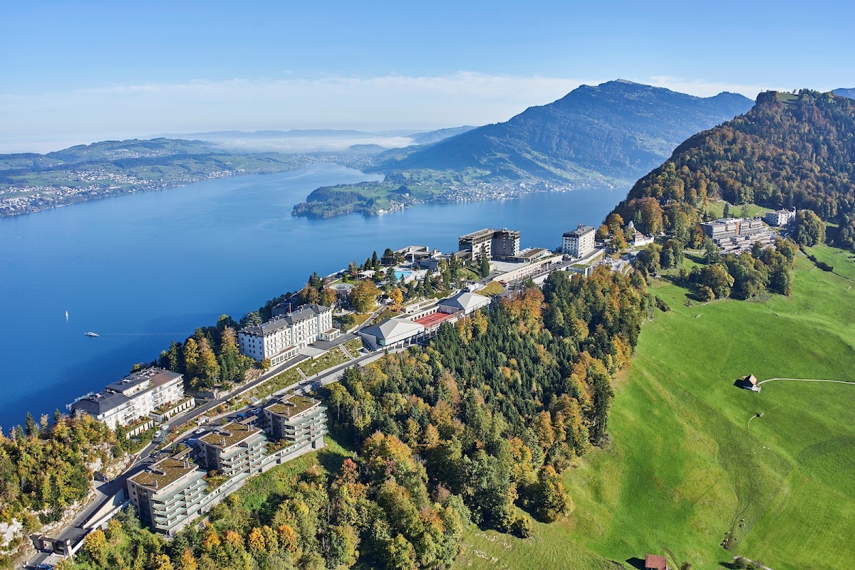 Palace Hotel by Bürgenstock, dog-friendly hotel in Lucerne