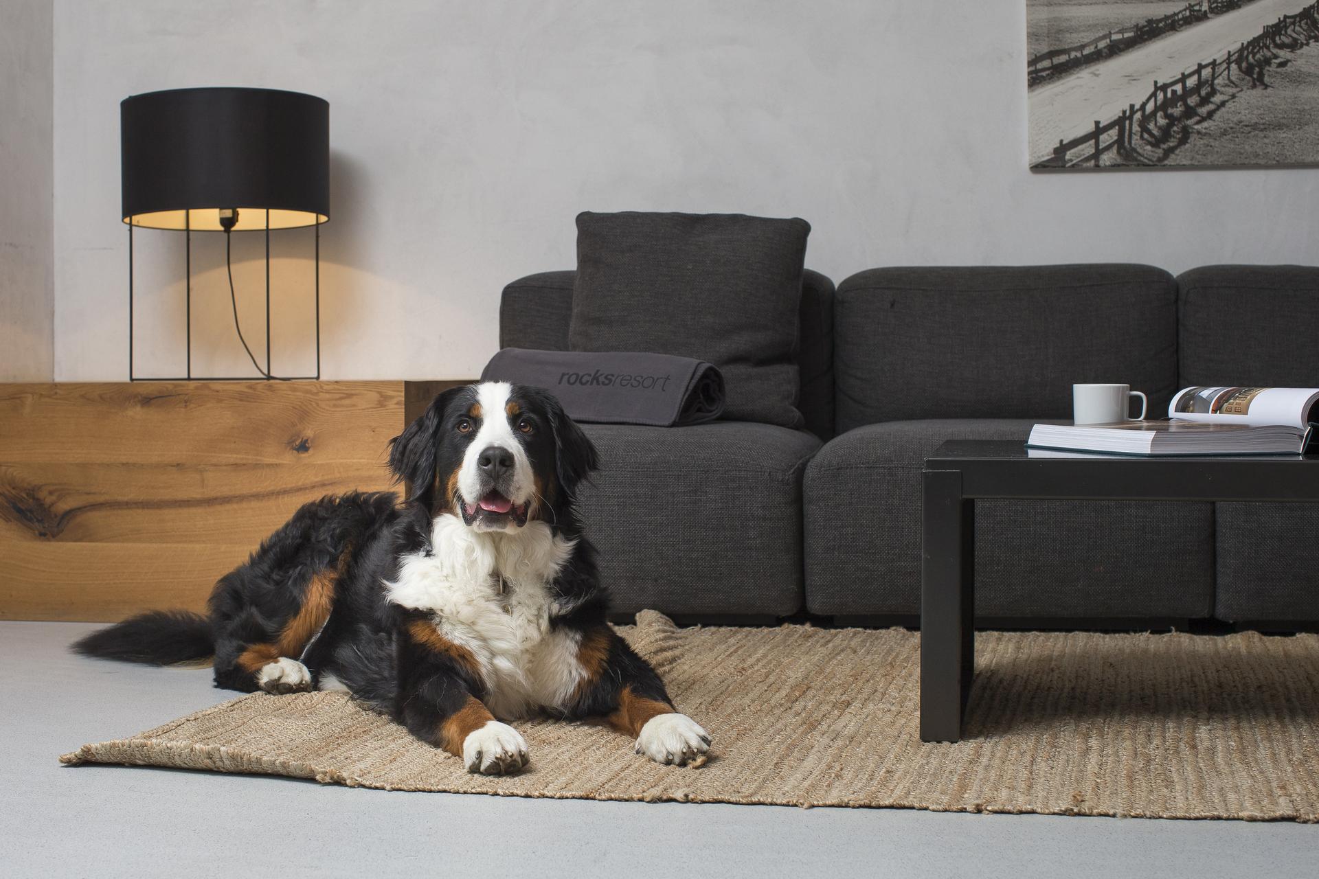 rocksresort, dog-friendly hotel in Graubunden