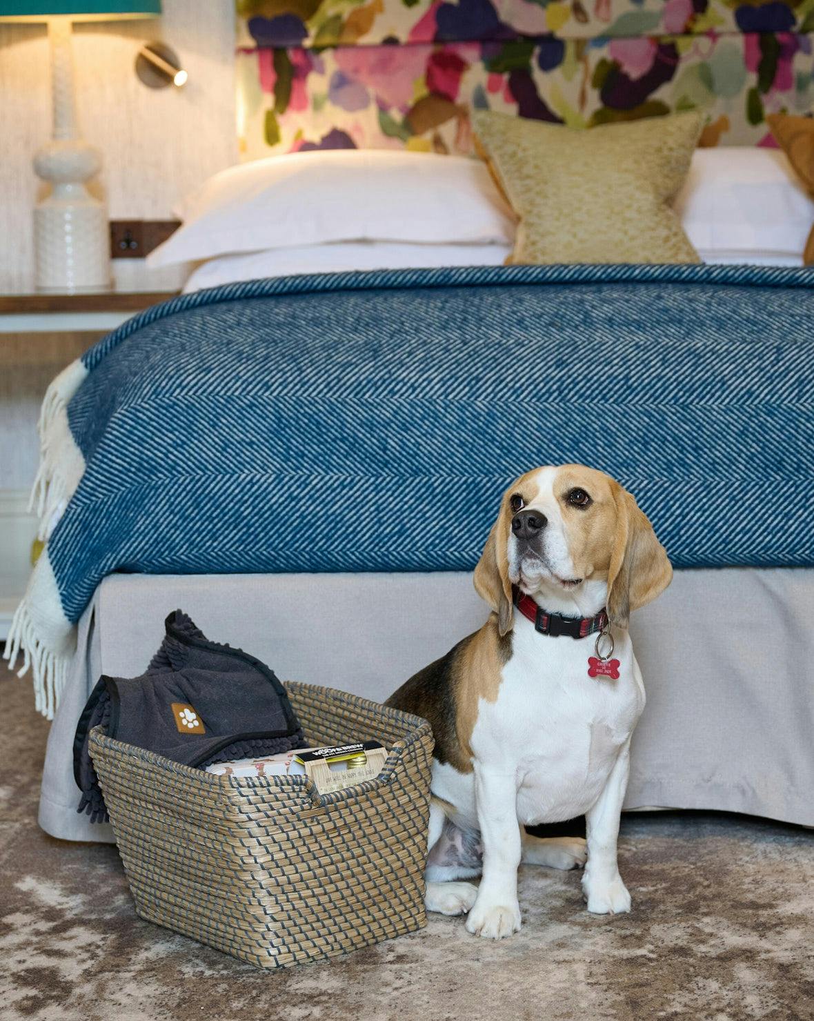 Seaham Hall, dog-friendly hotel in Northumberland