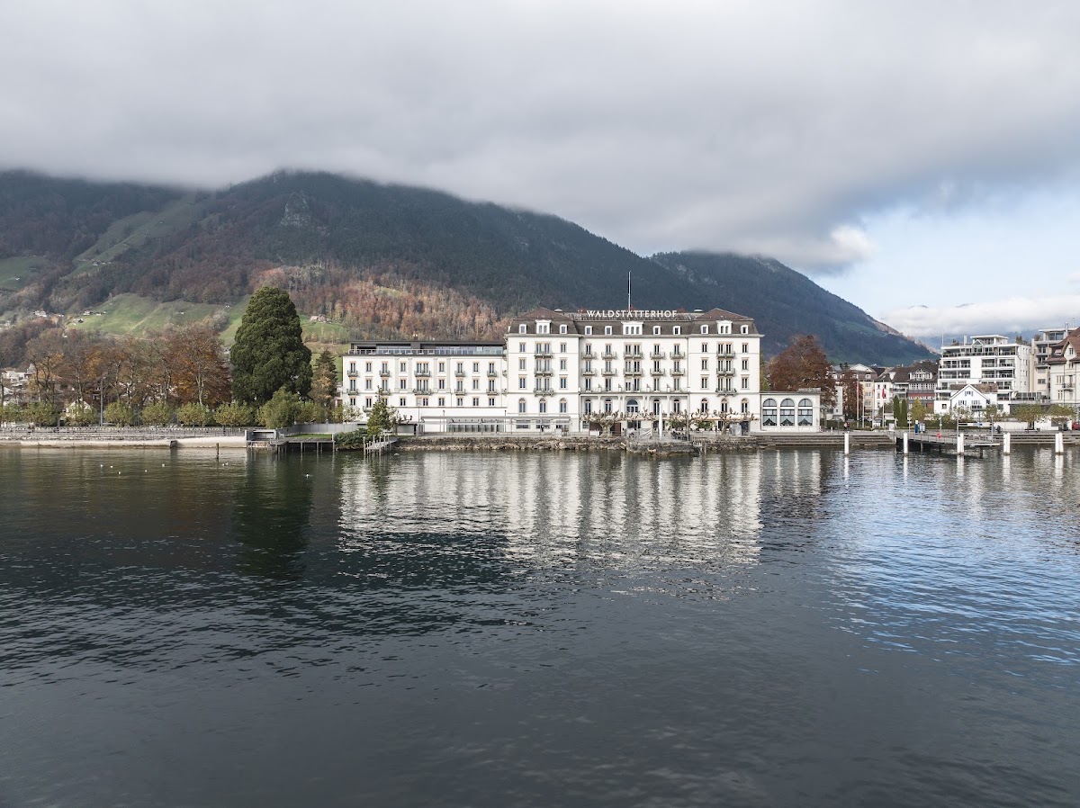 Seehotel Waldstätterhof Swiss Quality, dog-friendly hotel in Lucerne