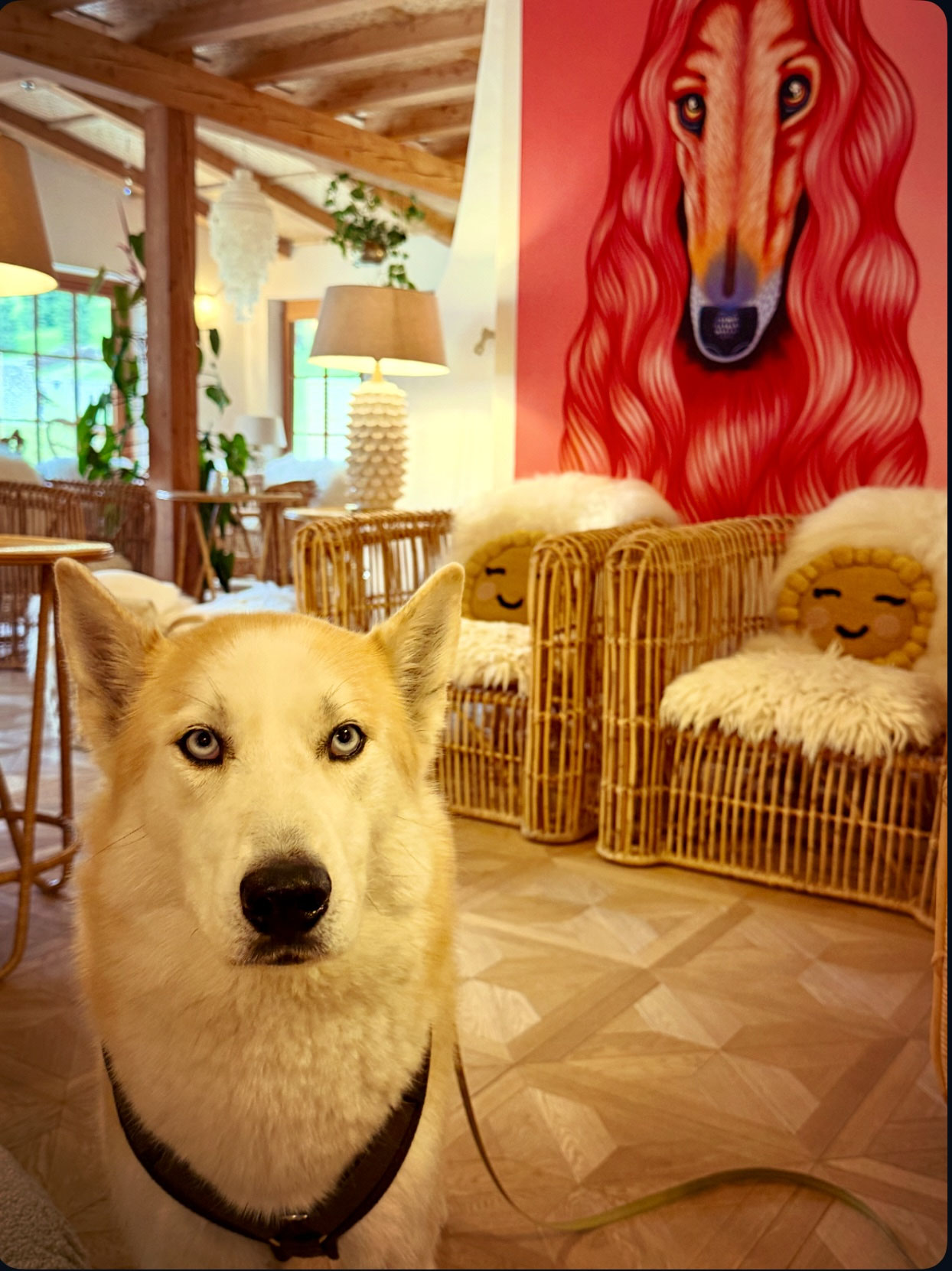SEIN Boutique Suites, dog-friendly hotel in Salzkammergut