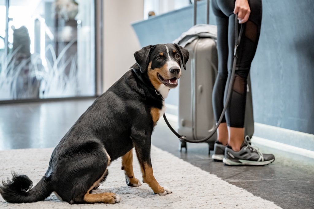SKI | GOLF | WELLNESS Hotel Riml, dog-friendly hotel in Tyrol Valleys