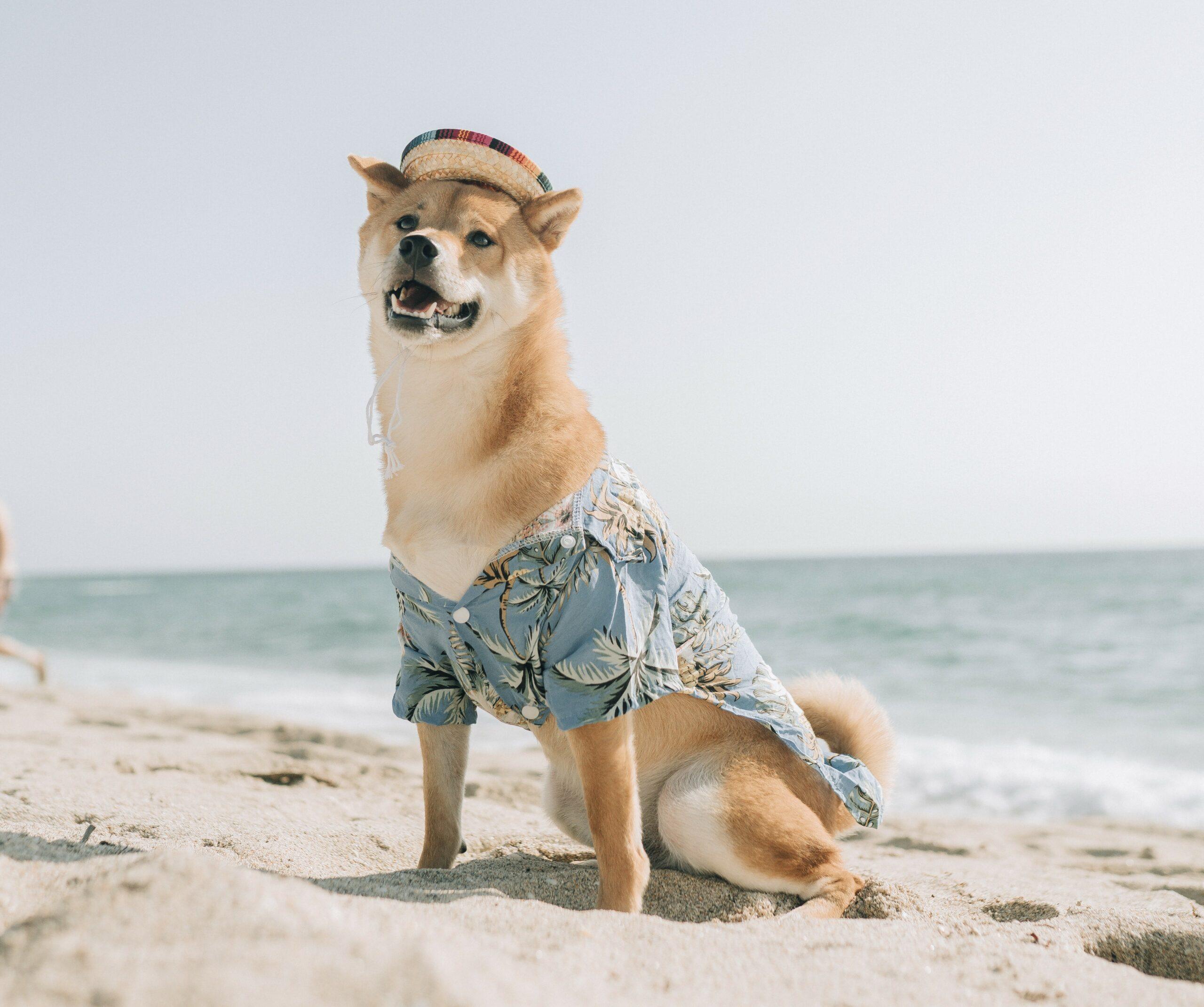 Soho Boutique Palacio de Pombo, dog-friendly hotel in Northern Spain Coast