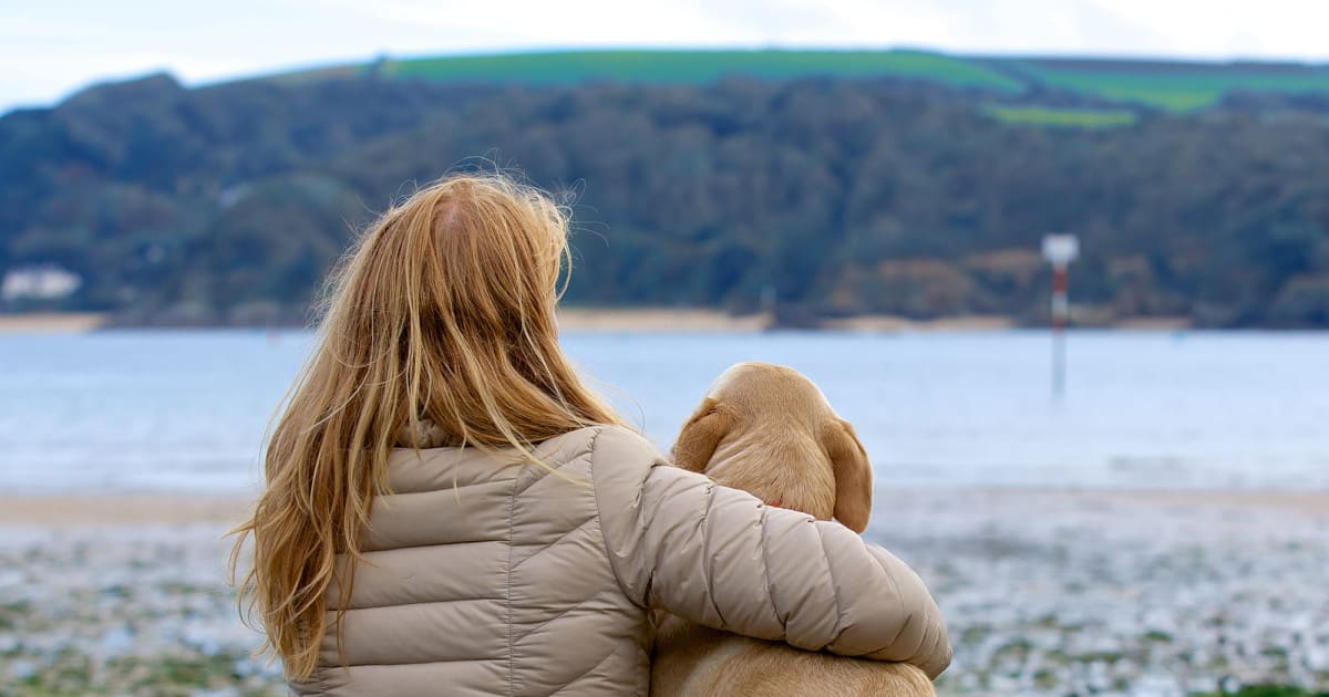 South Sands Hotel, dog-friendly hotel in Devon