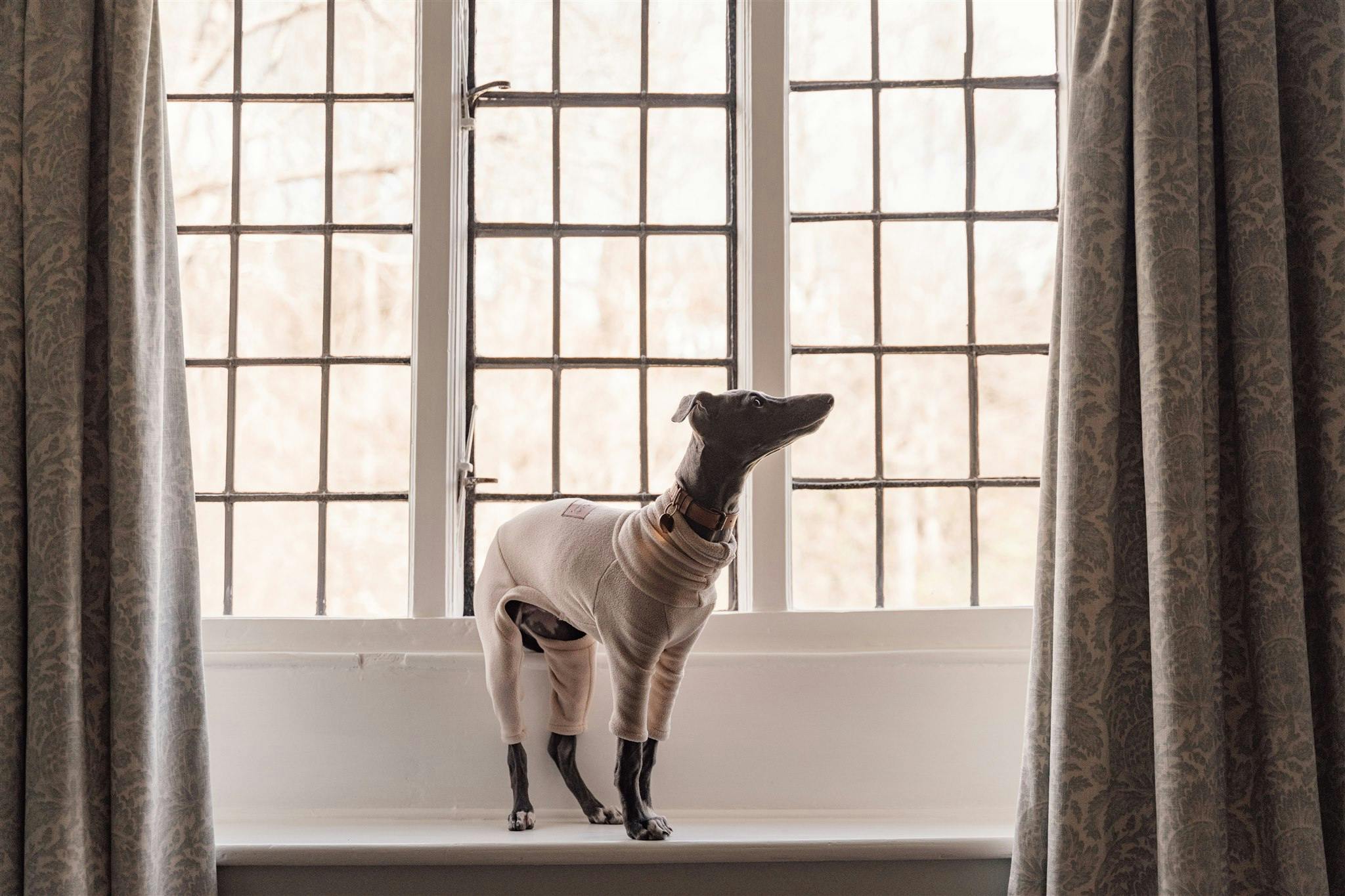 The Alfriston, dog-friendly hotel in Sussex and Kent