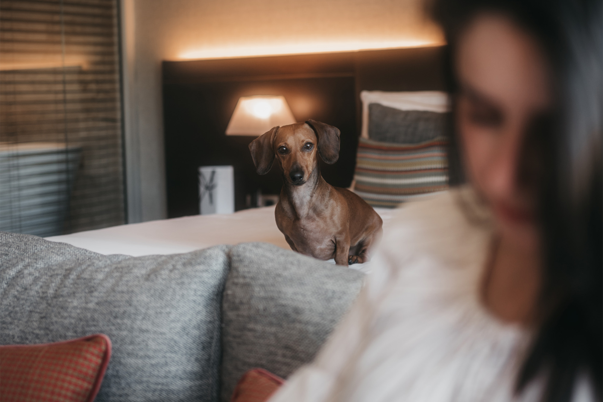 The Artist Grand Hotel of Art, dog-friendly hotel in Bilbao