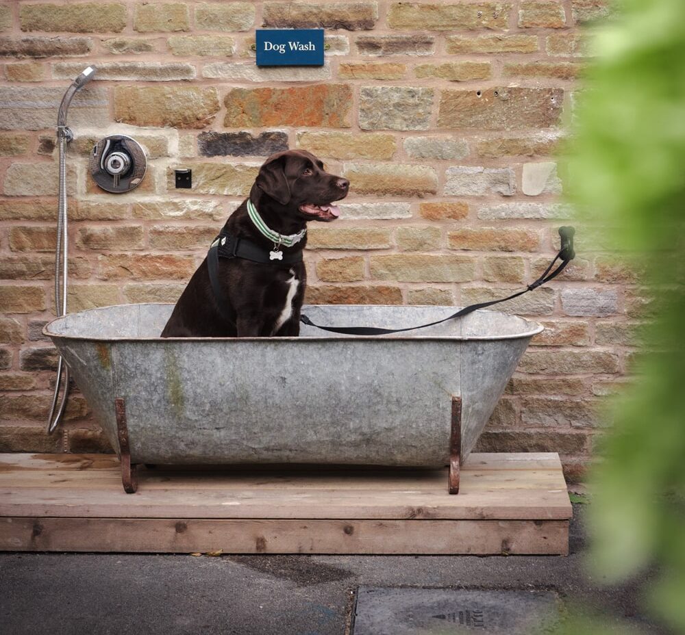 The Beeley Inn, dog-friendly hotel in Peak District