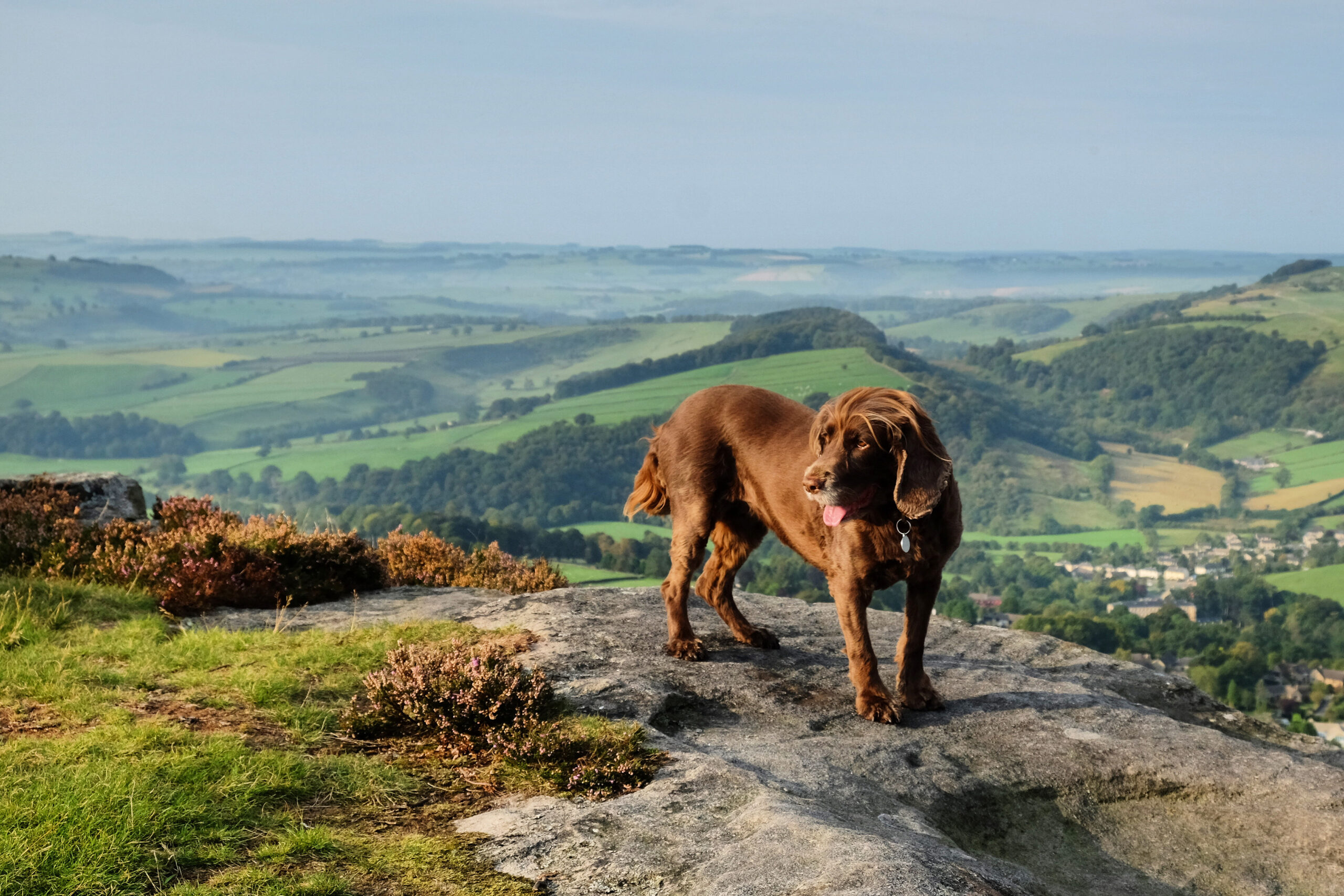 The Cavendish Hotel, dog-friendly hotel in Peak District