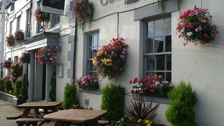 The County Hotel, dog-friendly hotel in Northumberland