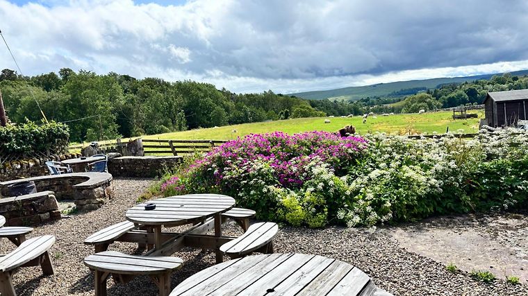 The Holly Bush Inn, dog-friendly hotel in Northumberland