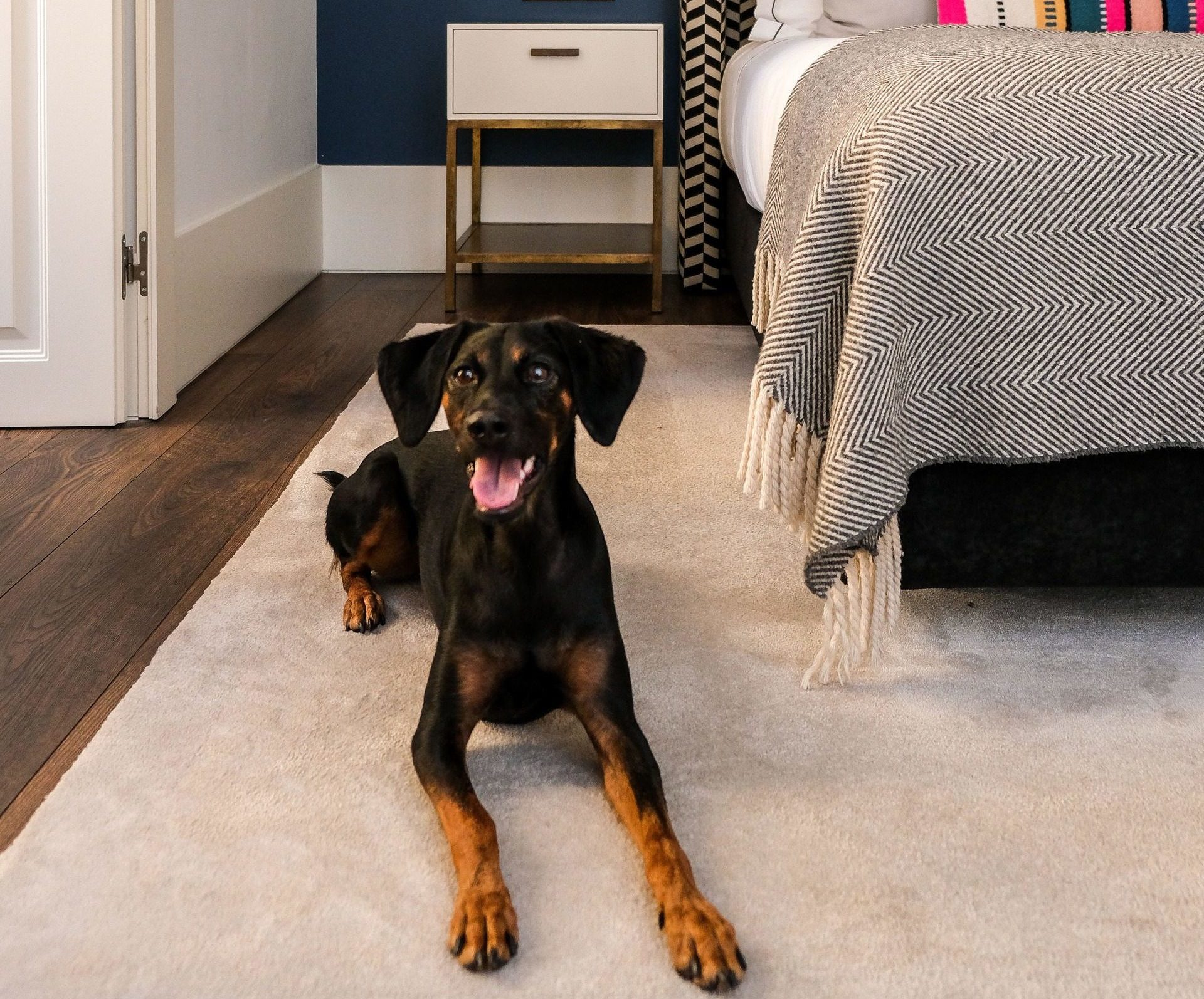 The Lumiares Hotel & Spa, dog-friendly hotel in Lisbon
