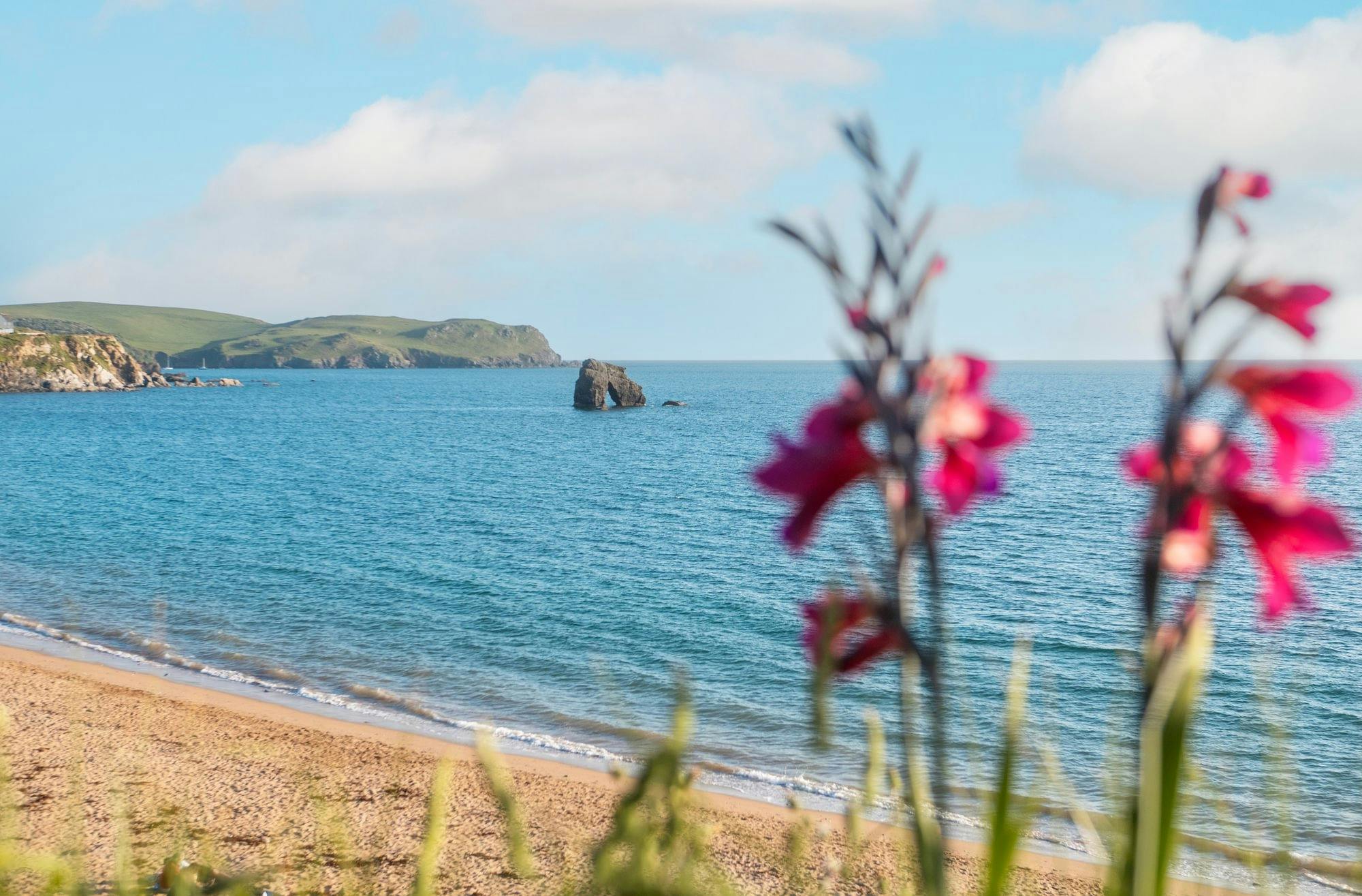 Thurlestone Hotel, dog-friendly hotel in Devon