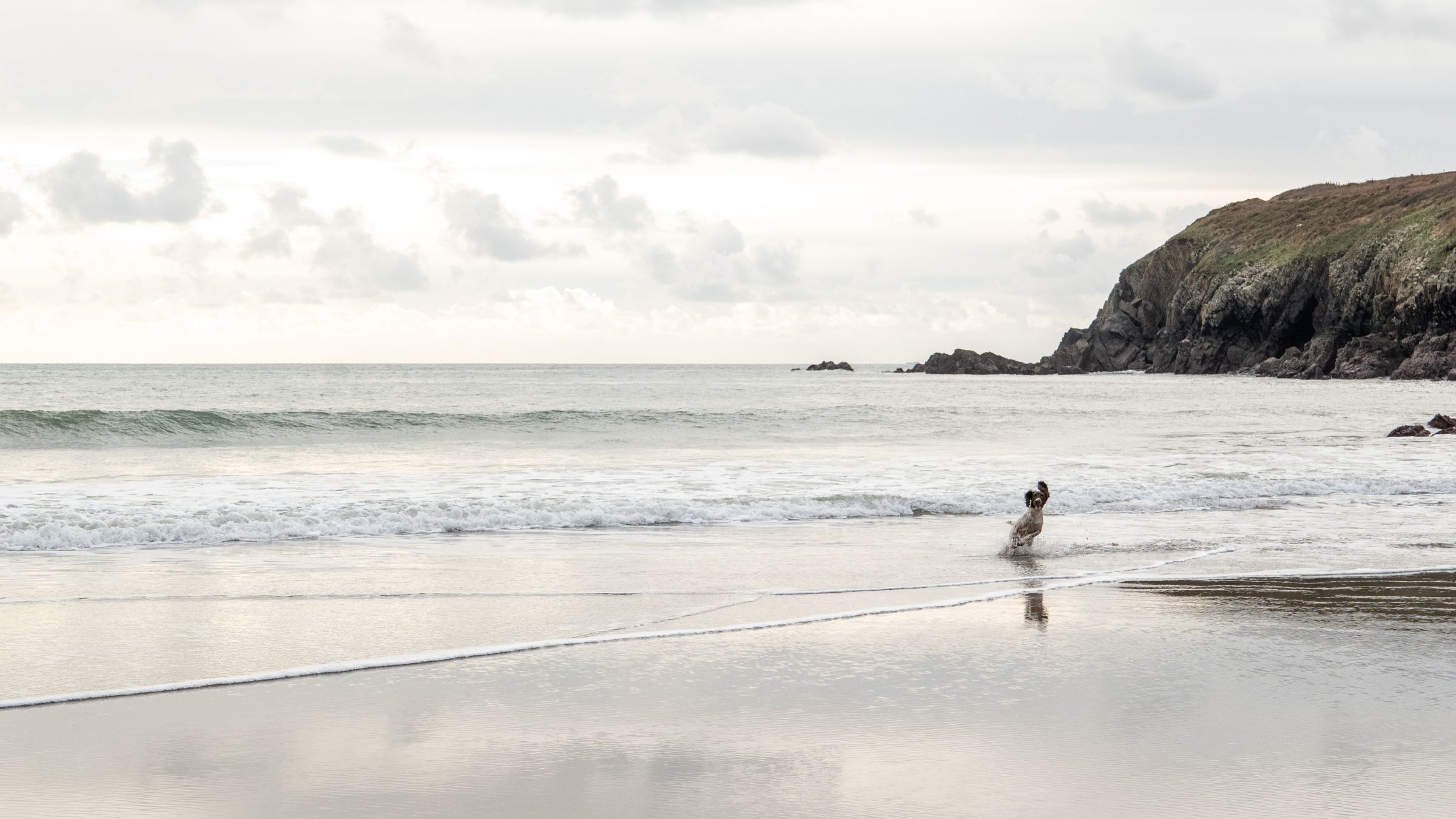 Twr y Felin Hotel, dog-friendly hotel in Wales