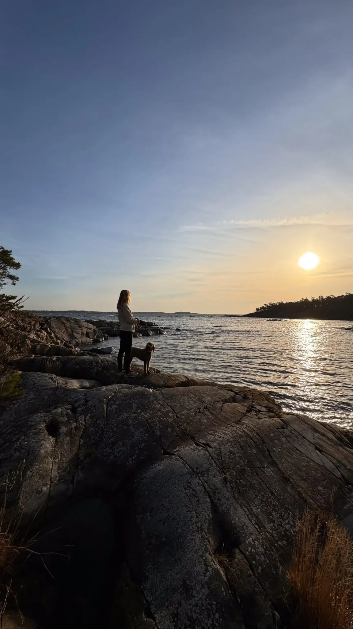 Uto Vardshus, dog-friendly hotel in Stockholm