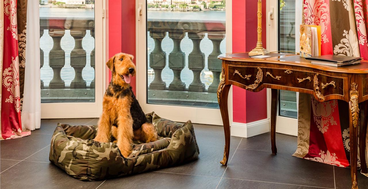 Villa e Palazzo Aminta, dog-friendly hotel in Lake Maggiore