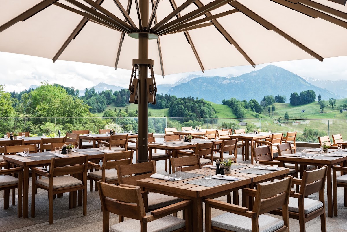 Waldhotel by Bürgenstock Lake Lucerne, dog-friendly hotel in Lucerne