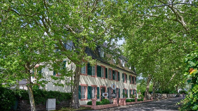 Weinromantikhotel Richtershof, dog-friendly hotel in Mosel and Rhine