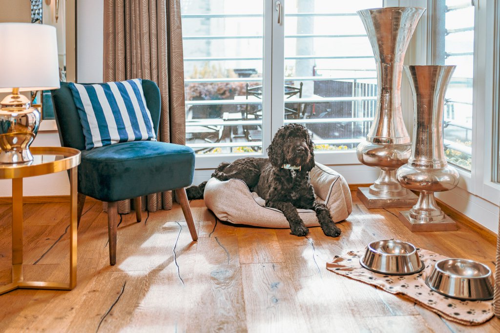 YachtHotel Helvetia, dog-friendly hotel in Lake Constance